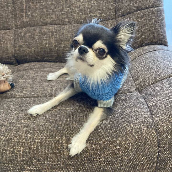 6c87bfe0 dc15 4915 9fb7 13def08fd696 1704693008465