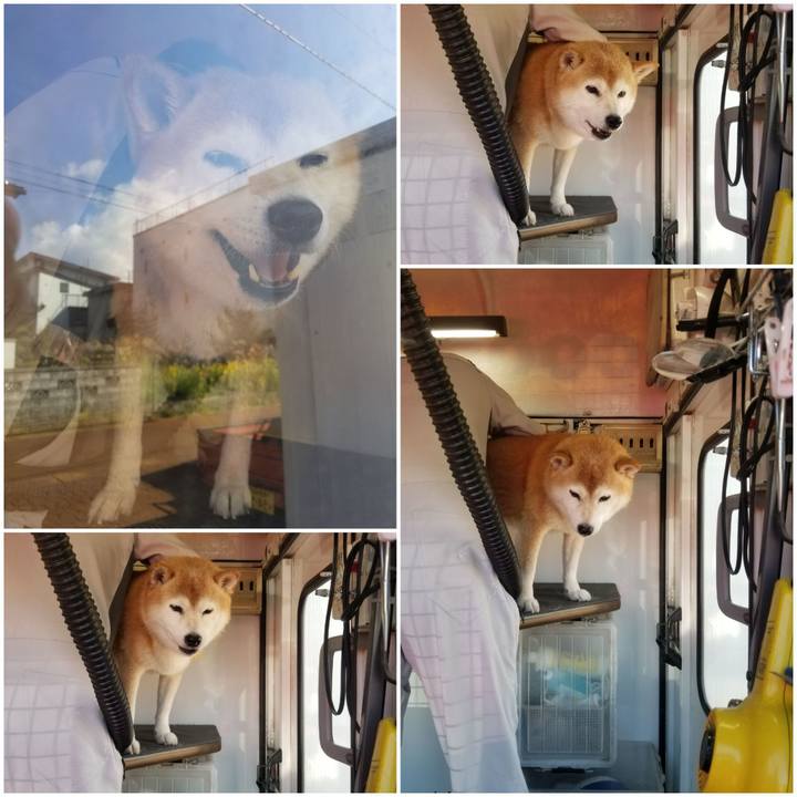 6c87ec86 279d 4856 8f08 41440945c354 1697073412975