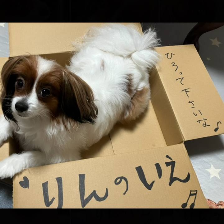 6c8814e2 91aa 4519 8537 ed794e7361ad 1721837414585