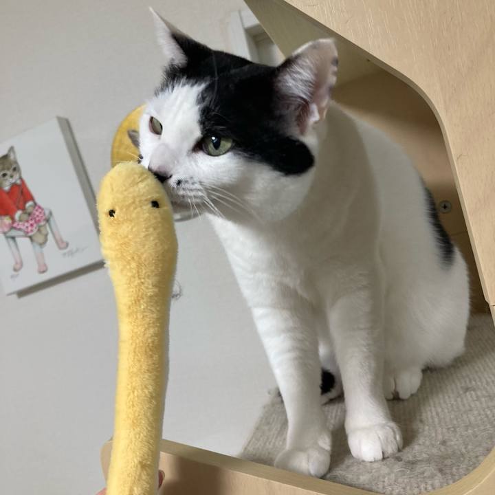 6c885feb 9df5 4a21 b5f0 0dbded177d11 1771532912276