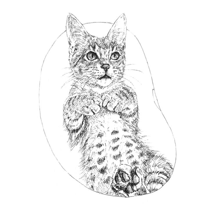 6c8866c9 1eaa 4d74 aee1 295f74ae5c9b 1597585604205