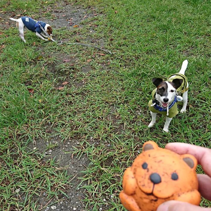 6c889584 9033 47a6 a3af f23f2deb096a 1539555820050