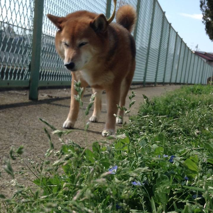 6c88bcdb 4880 469d 80cd 42d10b4d34b6 1552355002630