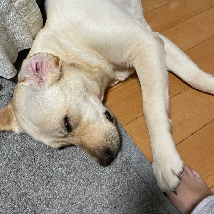 6c88d935 96d4 4c48 b8c9 622b1d24a525 1648476498133