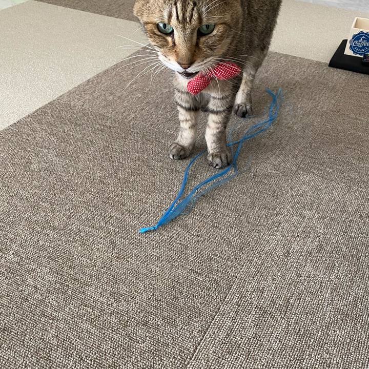 6c891132 8228 4992 be72 97cf220eb577 1591326226317