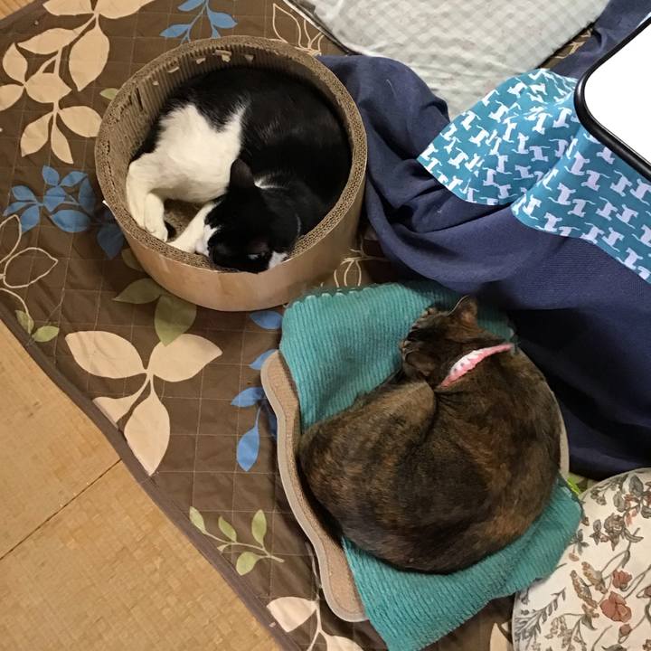 6c89366b 07a0 43f3 9301 117cf84a3022 1744016544095