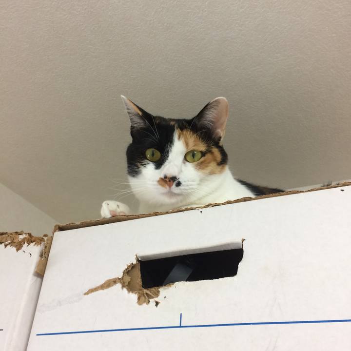 6c898875 6568 426e a507 a3567b363aeb 1525646545259