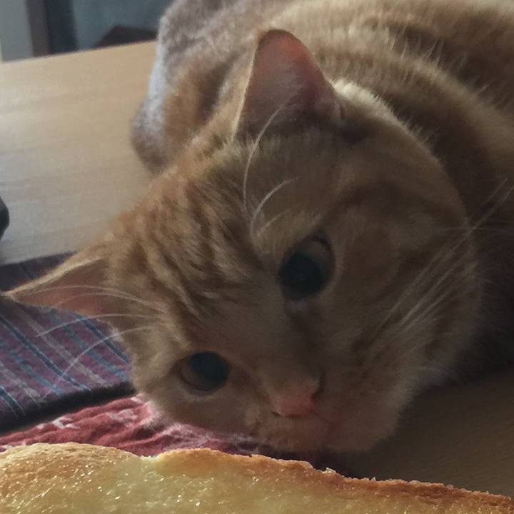 6c89b290 96ba 46dc bbbc bb9e0f40e7c8 1535160500575