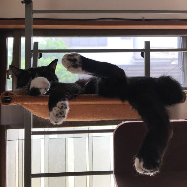 6c89bddb 2333 482a af05 26e2b65c38f8 1526701444159