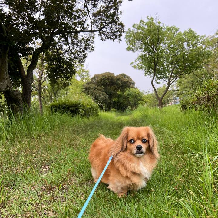 6c89c827 b491 4a01 81a4 7663f521e06d 1596749093168