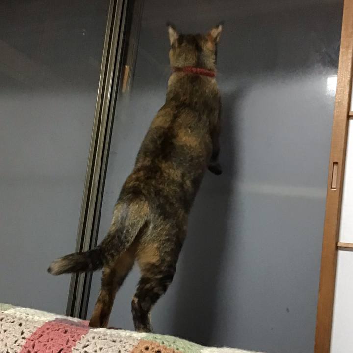 6c89f275 e5c9 4ceb 9b19 c45bebef6253 1643319489150