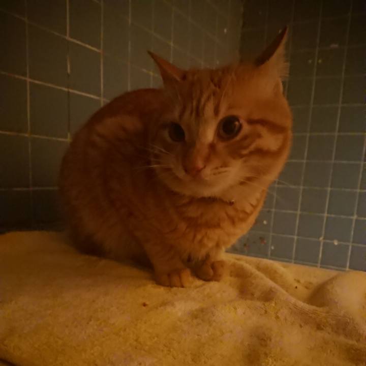 6c8a0ced 252a 4a24 9b56 2a2cd41a0a87 1645265900993