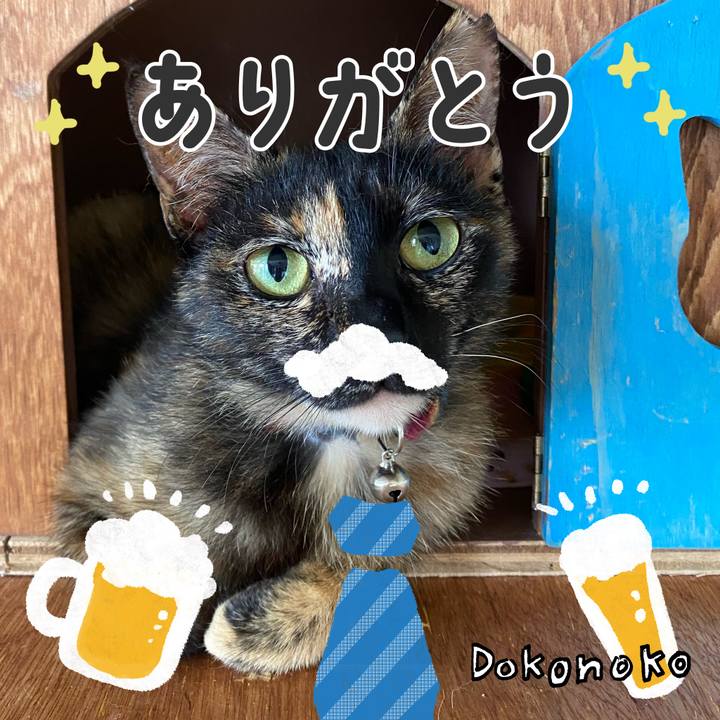 6c8a4468 30e8 47a5 8440 e9ed8d5085b2 1717586708854