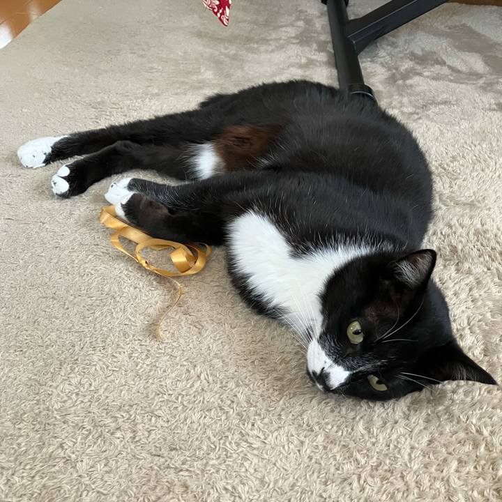 6c8a4673 f59e 447b b9a1 a21e301e22ca 1692329832665