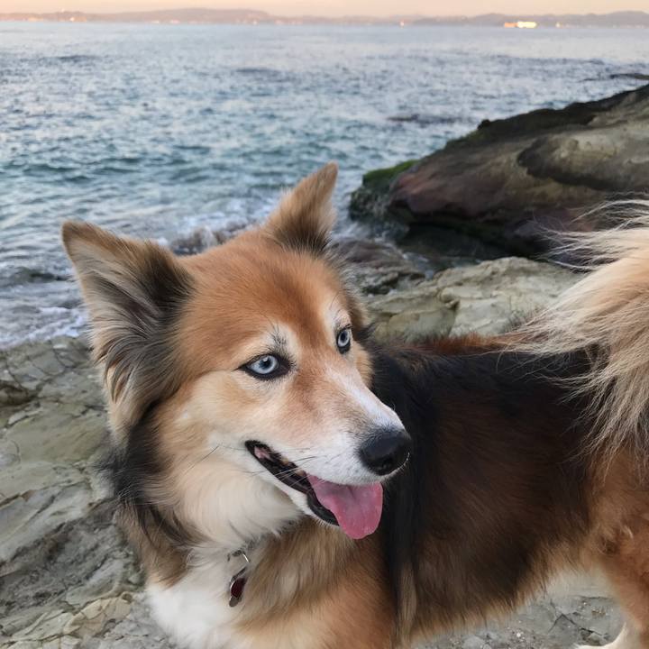 6c8a4911 c4ee 4120 81ac 84fd085a6b8b 1545722608503