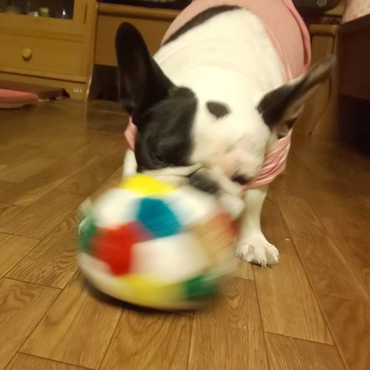 6c8a4f95 7828 492d b887 b6df25936565 1578218613177