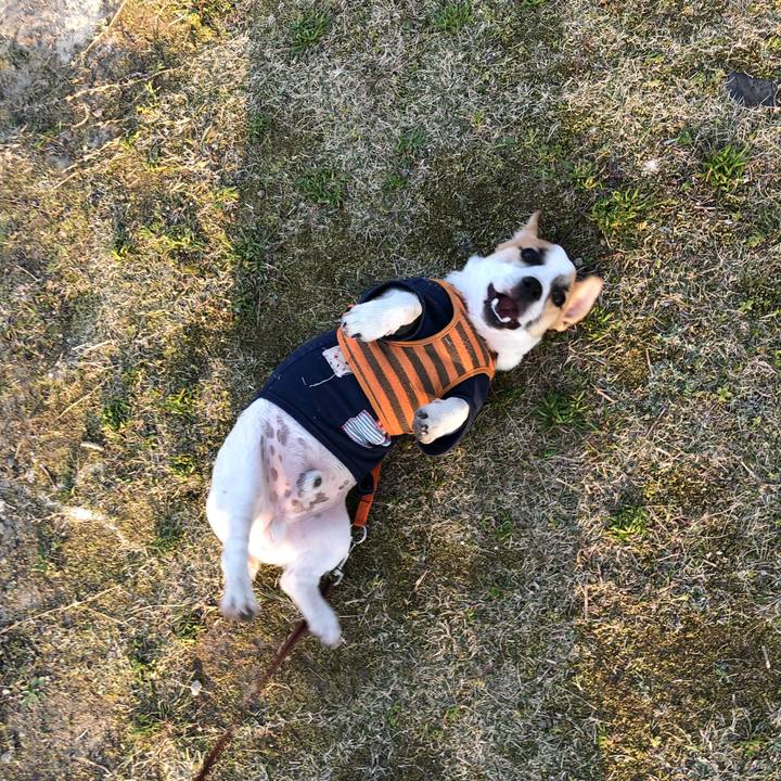 6c8a88ff 6075 42a5 a58c 863098859cd9 1554598308409