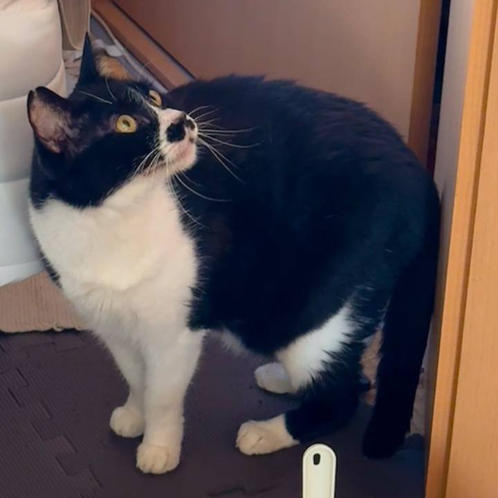 6c8ac881 ee64 48c1 bc5f 3e90670fdb99 1733022997091