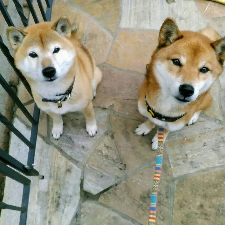 6c8adf8b 1250 43c7 aae4 577ef0562197 1575969727000