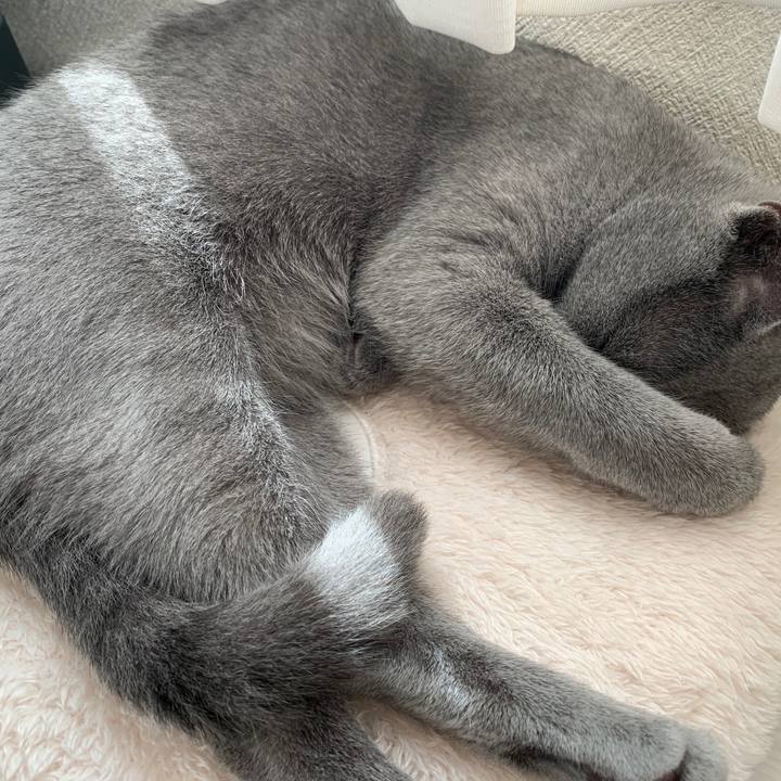 6c8ae2f8 62d5 4644 b250 53cc29470041 1576379548120