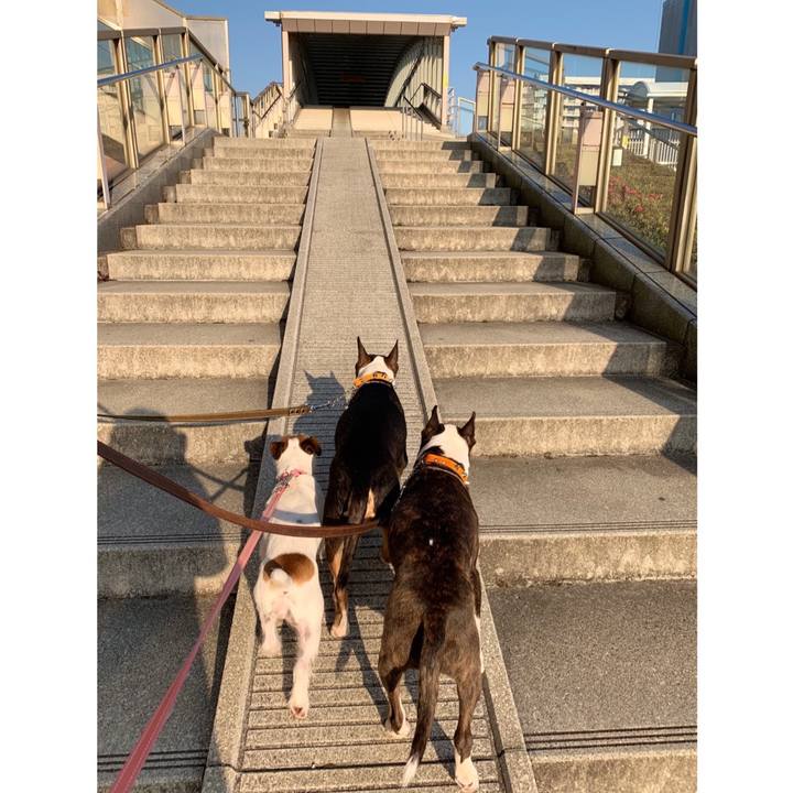 6c8ae7f2 5092 4dac a10b 13072b12c9b8 1585991377868