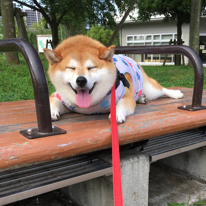 6c8b071c d0c4 4243 bb39 7b5a8aa4067c 1596585162537