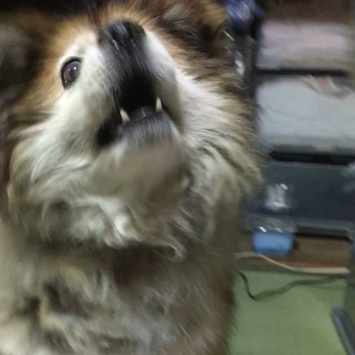 6c8b0d58 5e97 4a56 817b 17a52deeb555 1616272571512