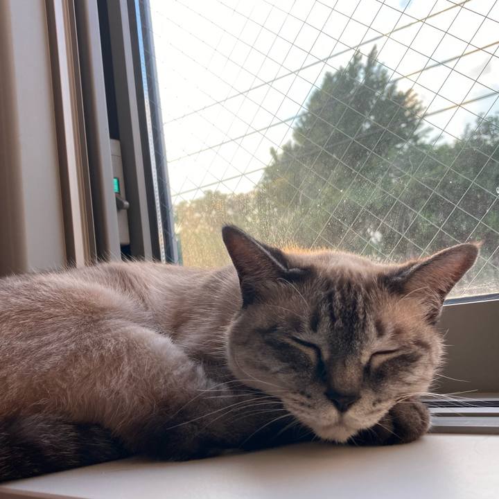 6c8b1cbd 6f7f 48ef 8f86 351d57c55e78 1720503018586