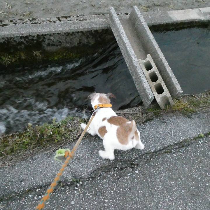 6c8b2e5c af59 4c7d b123 fdd3da5b24f2 1586342429624