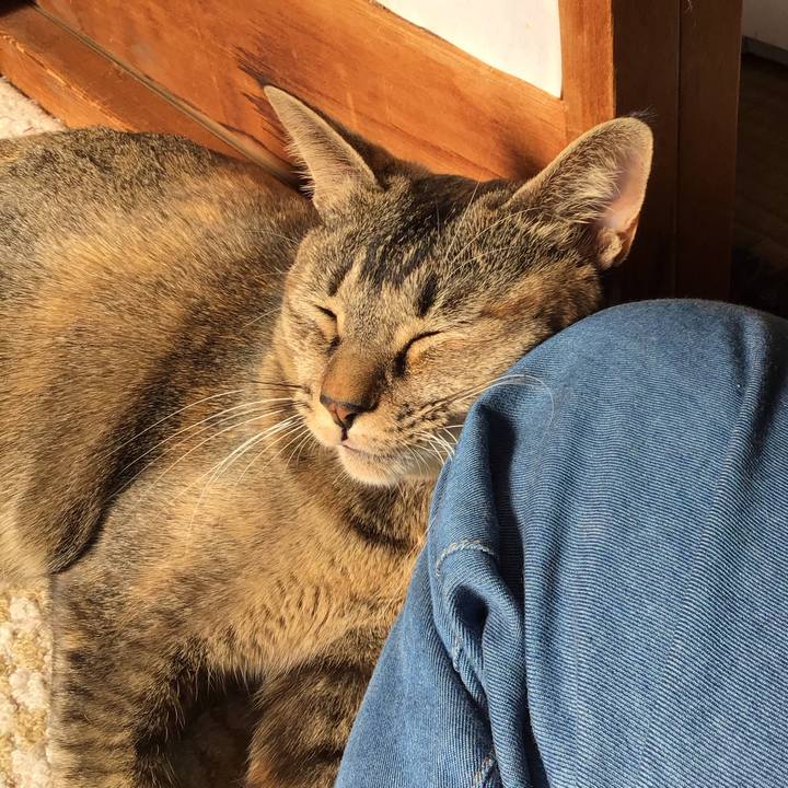 6c8b595f 2e38 4e7b a57e b539fe7b14c2 1607226236021