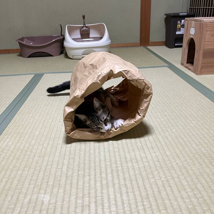 6c8b7121 93c4 4544 b553 8085dae42a92 1692702774217