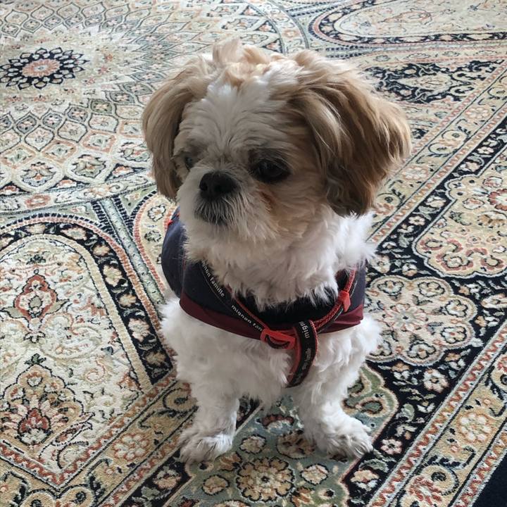 6c8b89db 3373 421b 9168 d3fdb24e4310 1604709436803