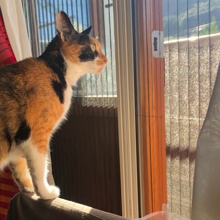 6c8ba36f e118 4ab0 b0ea 3885d47c2999 1569365090587