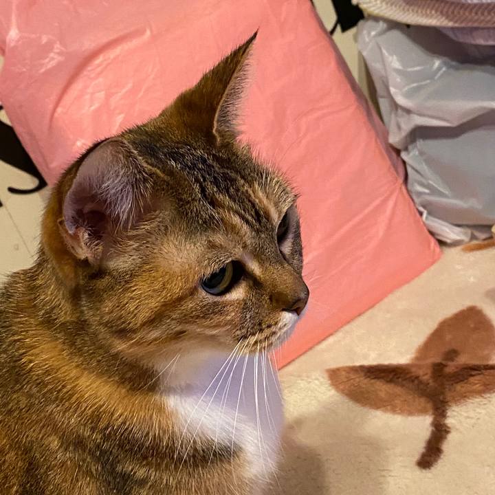 6c8bb28d 350c 4851 b280 80dcccd7de57 1577531750940