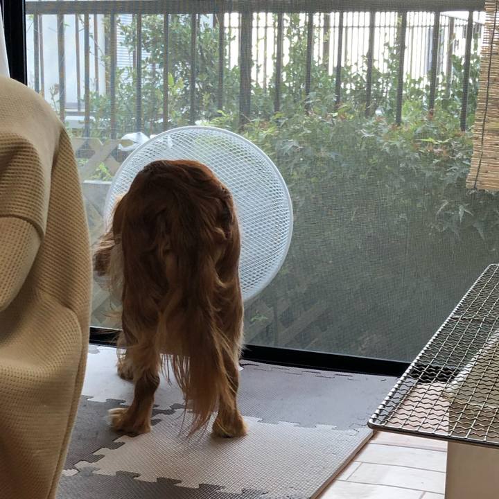 6c8bd0e5 a444 45b0 8bda bed2b586afdd 1600380213837