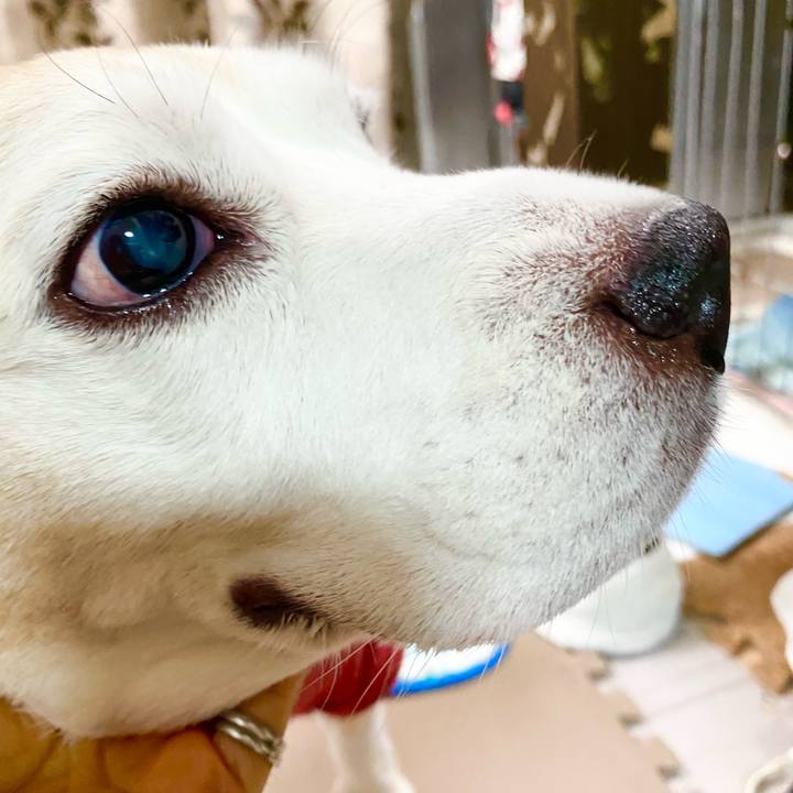 6c8bf8e0 dca0 429d be2d f9aabad2cc22 1662608683952