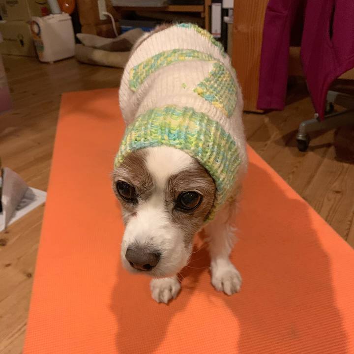 6c8c00a7 4f03 4574 b75b 93b3037c7921 1609194368123