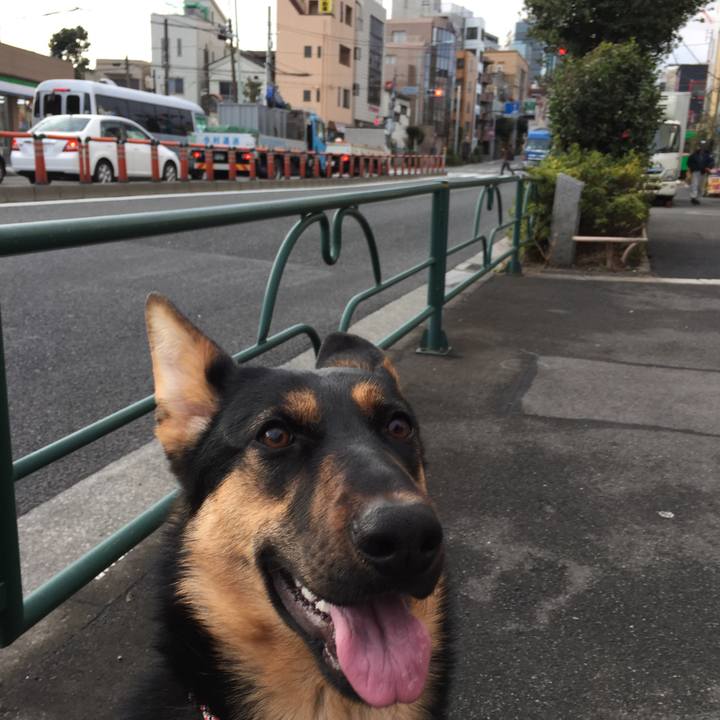 6c8c4ba8 0ae4 48a3 b966 c847fcec7992 1520643174198