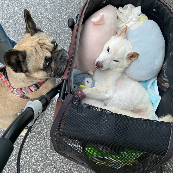 6c8c5056 dd4a 4c40 aed4 710b50f02248 1685102917630