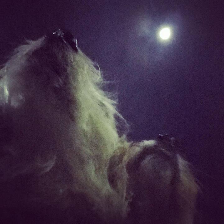 6c8c5d53 26cc 4f12 82b1 4d06fc07b8a6 1611851707557