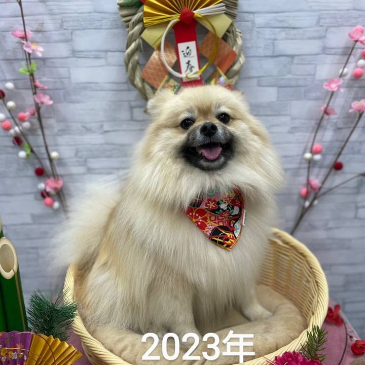 6c8c7250 5da8 4e0f b8c1 1bc446a1a77b 1673150627208