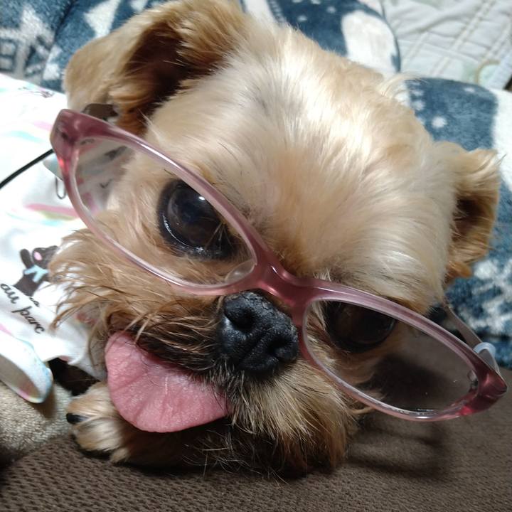 6c8c77a3 510e 456f a4d5 c3e4dc99c1f7 1620650503232