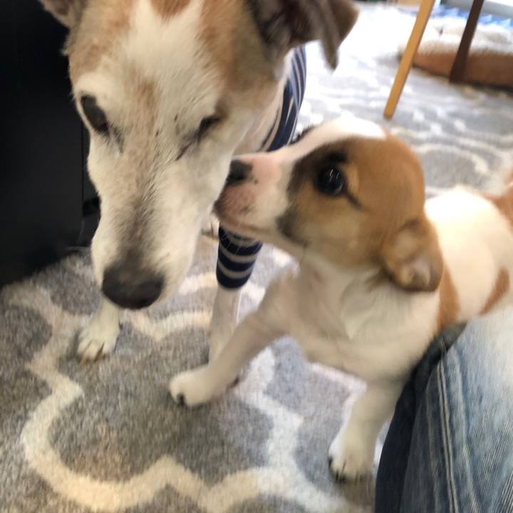 6c8c867d 5471 423d 9fd5 c74938471e49 1547468986636