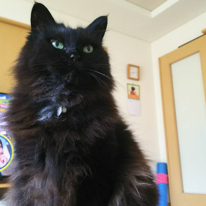 6c8cab37 236d 4a25 a97b bcf5a841a29a 1529795737218