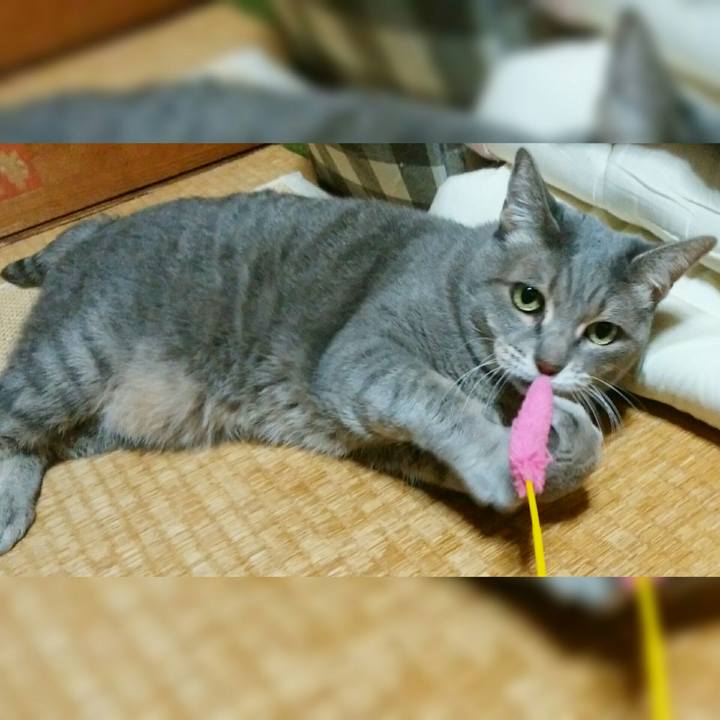 6c8cabed dab1 48d1 b5d1 1884a275444c 1577534679788