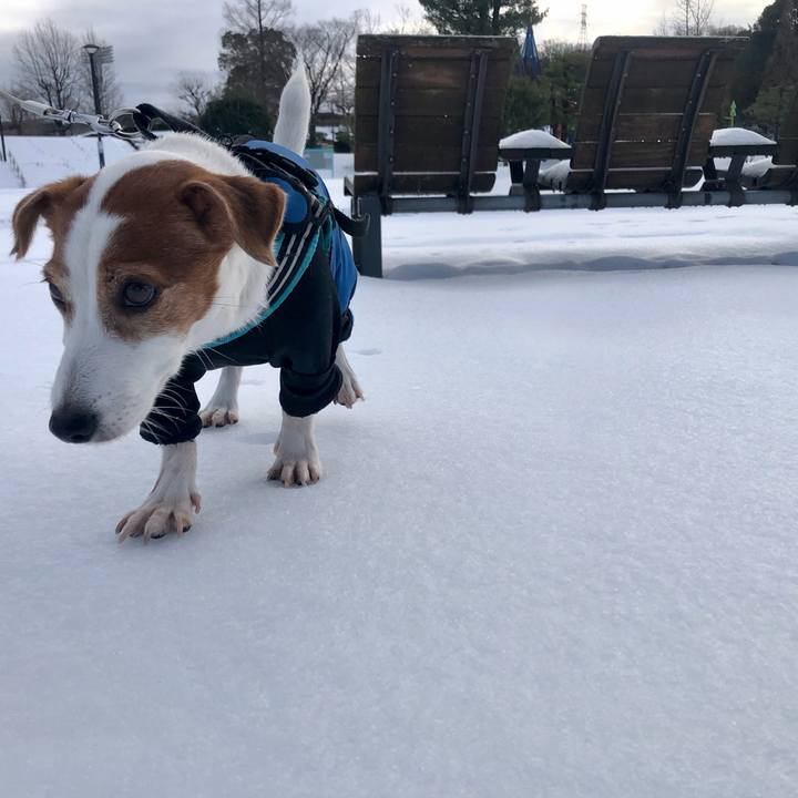 6c8cb792 4690 4e67 bbbd 0cc5db4e7dd0 1736650890932