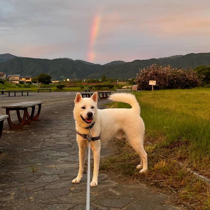 6c8ce6a3 6fc1 43b4 bb15 f6b80b5ff4b2 1626640143372