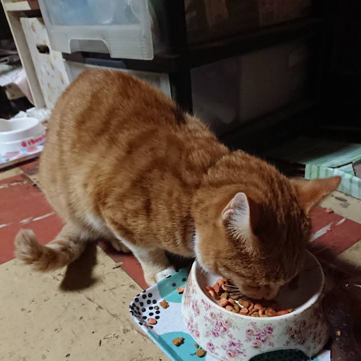 6c8d2737 8114 433b 8216 e09e50db13dd 1573031114592