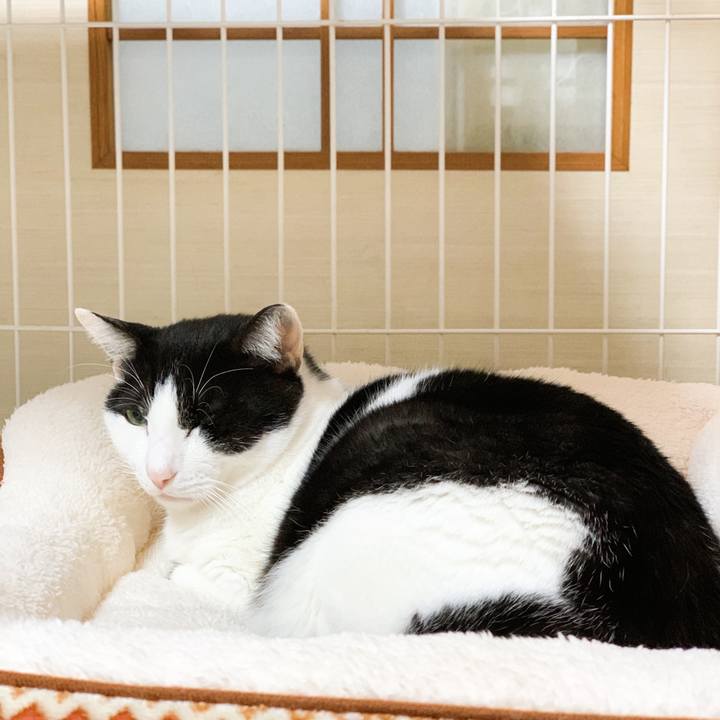 6c8deb5f 826b 4e4a bb32 03c6b117fa42 1575600345150