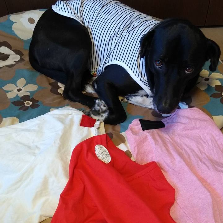 6c8e05eb 3d50 45d7 b570 fe10923e1dd2 1621075834890